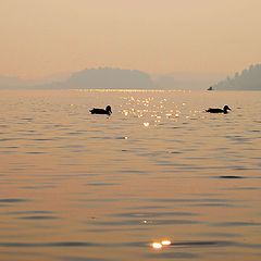фото "Рассвет на озере."