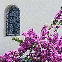 фото "summer's colours"