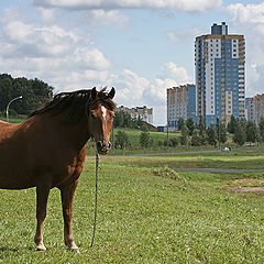 фото "Городская окраина"