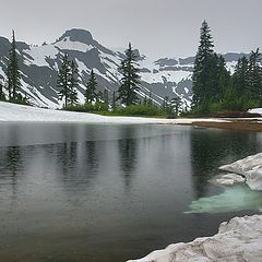 photo "Summer in mountains. Rain."