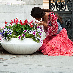 фото "Аромат цветов"