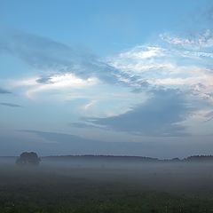 фото "Вечерняя"