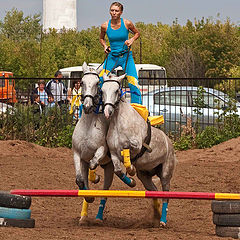 фото "Коня на скаку остановит..."