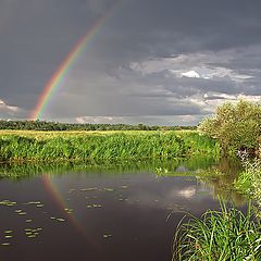 фото "Про радугу"