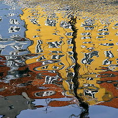 фото "Reflection."