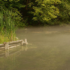 фотоальбом "landscape"