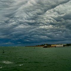 photo "Confusion preceding a storm"