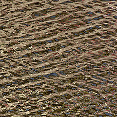 photo "Ripples on water"