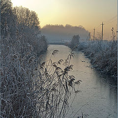 photo "Blue morning"