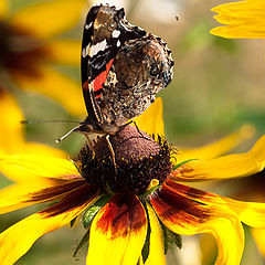 photo "At take-off site"