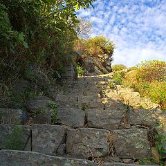 photo "the ascent"