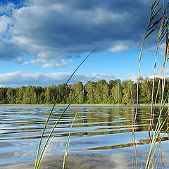 фото "Озеро"