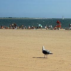 photo "Beach"