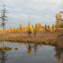 фото "Осень в Приполярье"