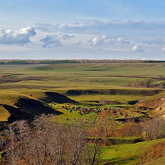 фото "На cтойбище"