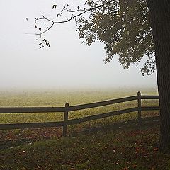 фото "Foggy Morn"