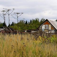 фото "Задворки  осени..."