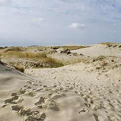 photo "Footprints in the sand"