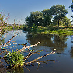 фото "река"