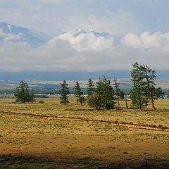 фото "Курайская степь"