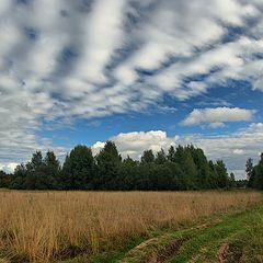 фото "Зеркало"