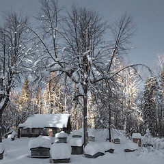 фото "Вечернее солнце"