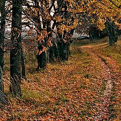 photo "The smell of autumn"