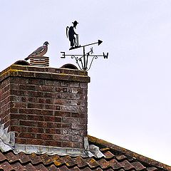 photo "Weather Vane"