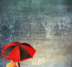 photo "youthful umbrellas acid:."