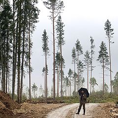 фото "Не губите, мужики,"