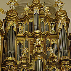 фото "organ"