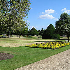 фото "Hampton Court park"