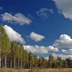 фото "Осенний день"