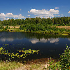 фото "Летний день"