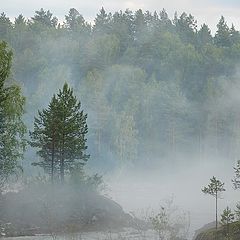 photo "Fog over the river"