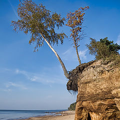 photo "Оn verge of earth"