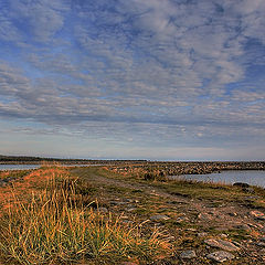 photo "Verst of island Solovki"