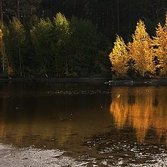 фото "Золотой остров.."