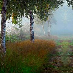 photo "one morning in September"