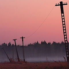 фото "Вечерний танец"