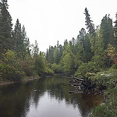 фото "Первый снег"