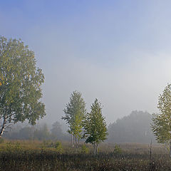 фото "Пригрелись"