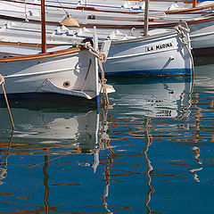 photo "La Marina"