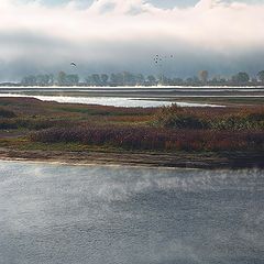 photo "Autumn morning"