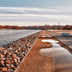 фото "Будни"