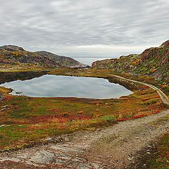 фото "Дорога к морю."