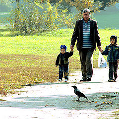 фото "Morning walk / Утренняя прогулка."