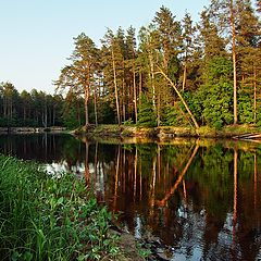 фото "Летний вечер"