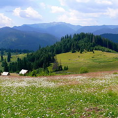 photo "Domaine de Daisy"