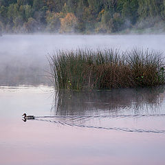 photo "Fog over water"